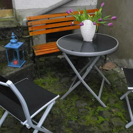 Сasa de vacaciones Altes Winzerhaus Traben-Trarbach